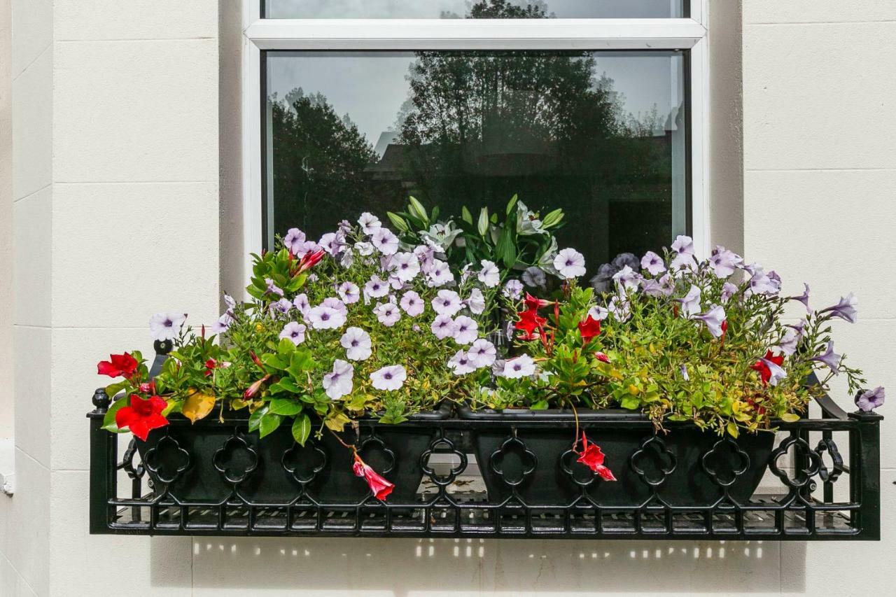 Cyprus View Apartment Belfast Dış mekan fotoğraf